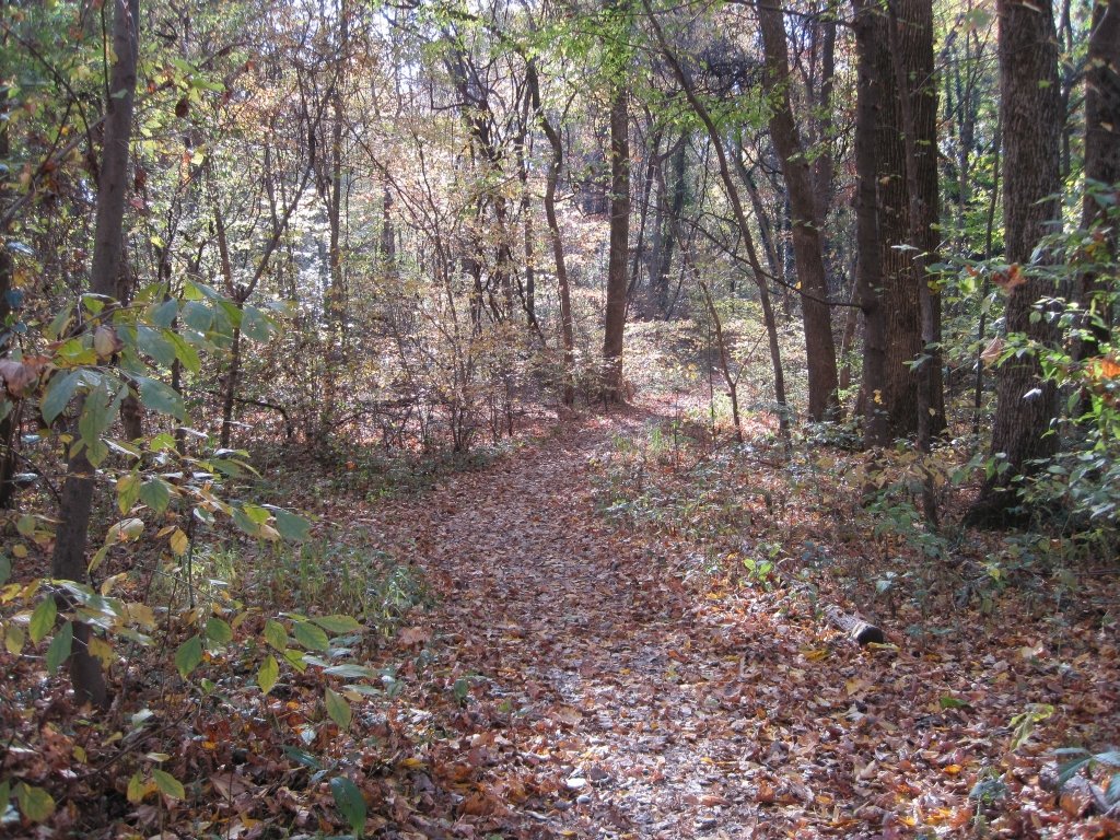 Overton Park, TN - Old Forest Arboretum of Overton Park - Wikipedia
